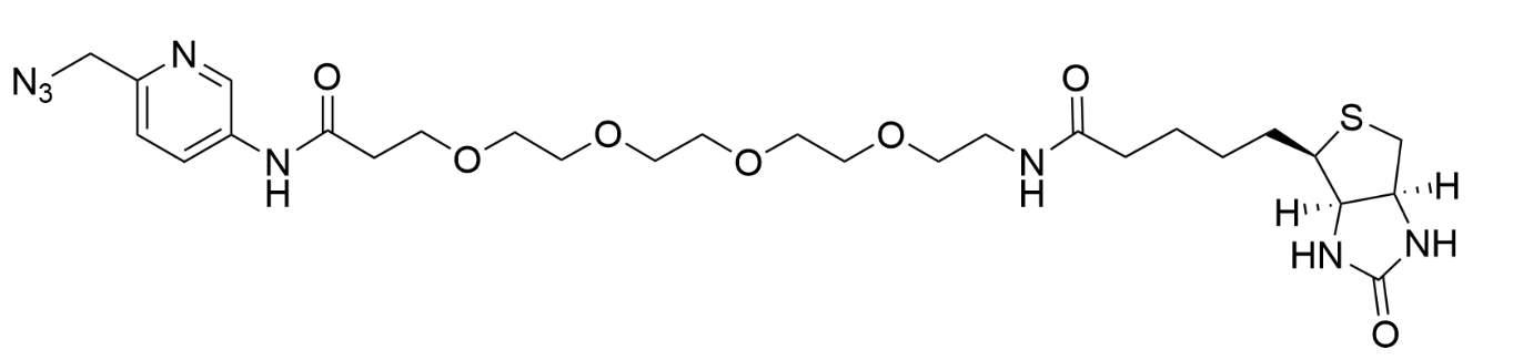 Biotin Picolyl Azide Biotin Picolyl Azide
