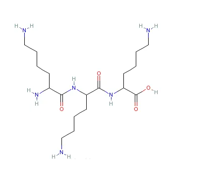 多聚-L-赖氨酸 多聚-L-赖氨酸