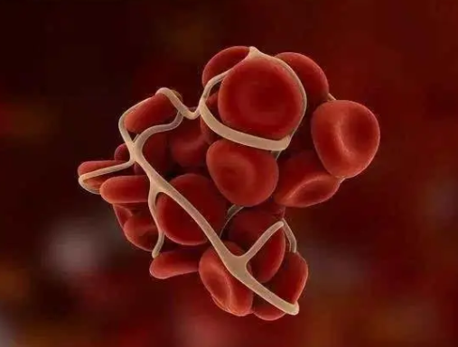 凝血因子 凝血因子