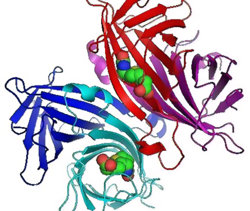 1650935688585504.png QQ截图20220426091421.png