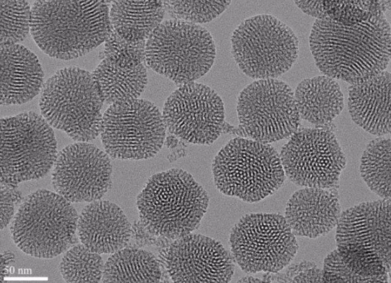 核壳结构上转换纳米粒 核壳结构上转换纳米粒