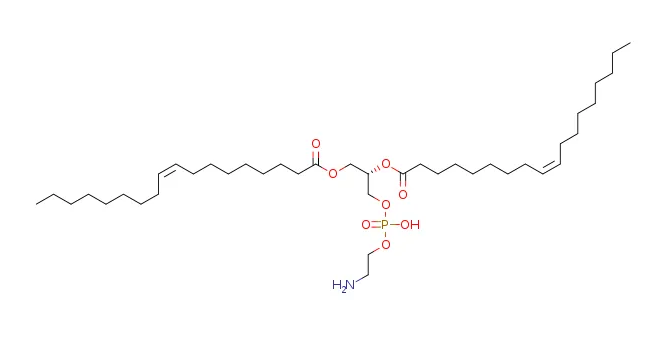 二油酰磷脂酰乙醇胺 二油酰磷脂酰乙醇胺
