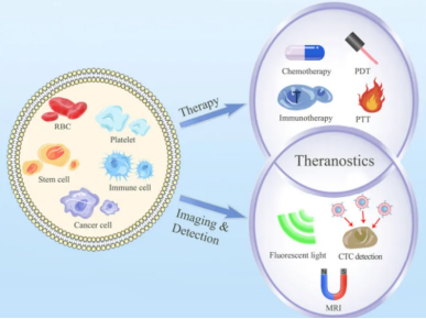 1653447142612468.png image.png