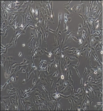 1653461473538218.png image.png