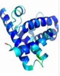 myosin myosin