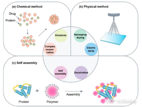 聚乙二醇(PEG)化多西他赛白蛋白纳米粒 聚乙二醇(PEG)化多西他赛白蛋白纳米粒