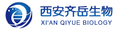 西安pg电子娱乐游戏app
