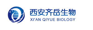 壳聚糖偶联磷酸二丝氨酸基团(PdS) 壳聚糖偶联磷酸二丝氨酸基团(PdS)