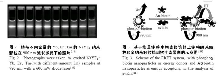 稀土掺杂上转换氟化物纳米材料 稀土掺杂上转换氟化物纳米材料