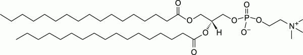 17:0 PC|1,2-diheptadecanoyl-sn-glycero-3-phosphocholine 17:0 PC|1,2-diheptadecanoyl-sn-glycero-3-phosphocholine