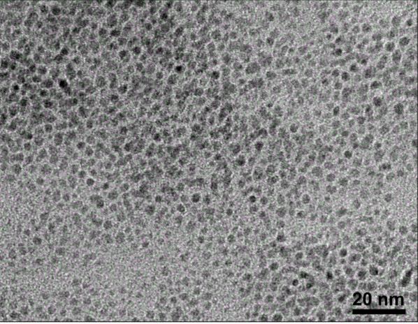 多巴胺修饰黑磷量子点BP@BPQDs 多巴胺修饰黑磷量子点BP@BPQDs