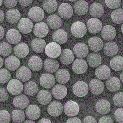 生物素-聚苯乙烯微球 生物素-聚苯乙烯微球