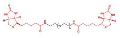 Biotin-PEG-Biotin;二生物素聚乙二醇;BN-PEG-BN Biotin-PEG-Biotin;二生物素聚乙二醇;BN-PEG-BN