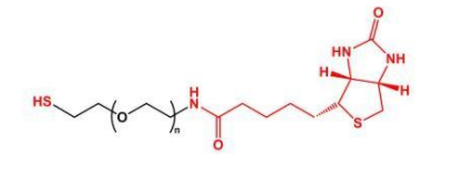 SH-PEG-Biotin;巯基聚乙二醇生物素;Biotin-PEG-SH SH-PEG-Biotin;巯基聚乙二醇生物素;Biotin-PEG-SH