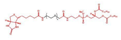 Biotin-PEG-DSPE;生物素聚乙二醇磷脂;DSPE-PEG-Biotin Biotin-PEG-DSPE;生物素聚乙二醇磷脂;DSPE-PEG-Biotin