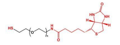 SH-PEG-Biotin;巯基聚乙二醇生物素;Biotin-PEG-SH SH-PEG-Biotin;巯基聚乙二醇生物素;Biotin-PEG-SH