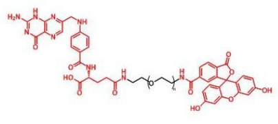 FITC-PEG-FA;荧光素聚乙二醇叶酸;Folate-PEG-FITC FITC-PEG-FA;荧光素聚乙二醇叶酸;Folate-PEG-FITC