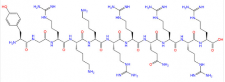 TAT(YGRKKRRQRRR),191936-91-1,靶向穿膜肽 TAT(YGRKKRRQRRR),191936-91-1,靶向穿膜肽
