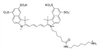 Sulfo CY5.5 NH2;磺酸化CY5.5氨基;sulfo-Cy5.5 amine Sulfo CY5.5 NH2;磺酸化CY5.5氨基;sulfo-Cy5.5 amine