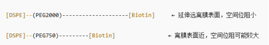 DSPE-PEG2000-BIOTIN和 DSPE-PEG750-BIOTIN 有什么不同? DSPE-PEG2000-BIOTIN和 DSPE-PEG750-BIOTIN 有什么不同?