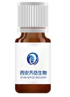 酸性位FeMOF催化剂