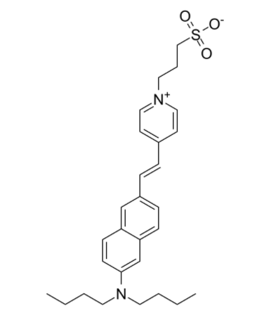 Di-4-ANEPPS Di-4-ANEPPS