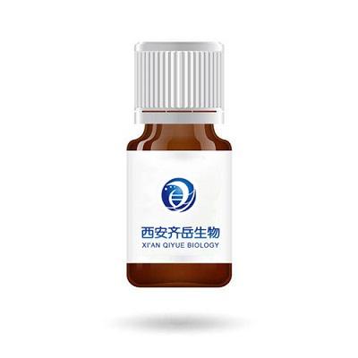 糖化多肽修饰技术