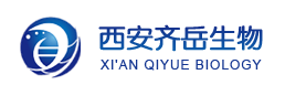 N-羟基琥珀酰亚胺酯-聚乙二醇-唾液酸 N-羟基琥珀酰亚胺酯-聚乙二醇-唾液酸