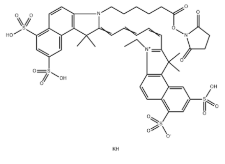 Cy5.5 N-羟基琥珀酰亚胺酯 Cy5.5 N-羟基琥珀酰亚胺酯