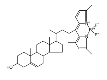 BODIPY Cholesterol BODIPY Cholesterol