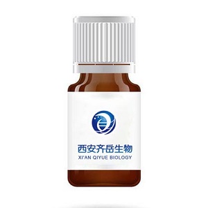 CY3标记人抗lgG