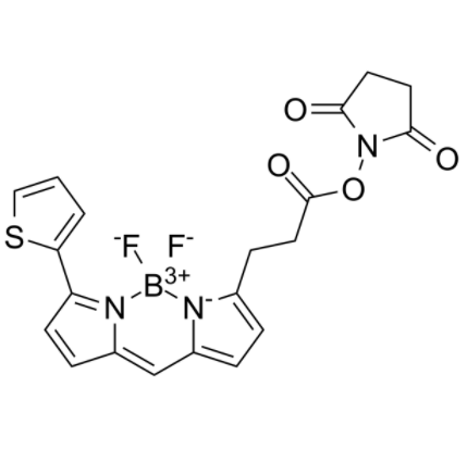 1753862543102512.png image.png