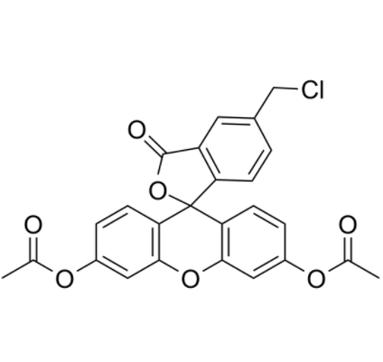 5-氯甲基荧光素二乙酸酯	 