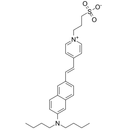 Di-4-ANEPPS Di-4-ANEPPS