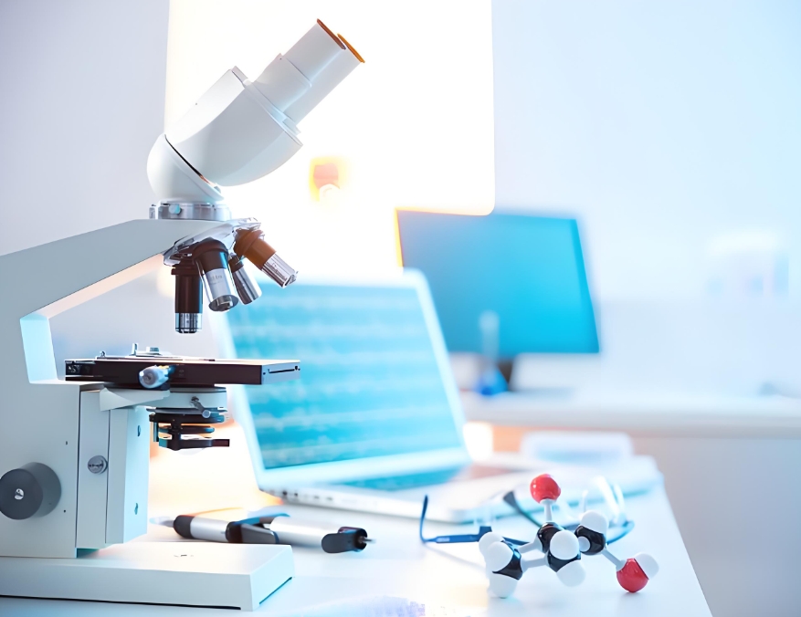 CY5-Melanin Concentrating Hormone (MCH)