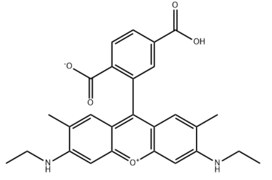 6-Rhodamine 6G COOH 6-Rhodamine 6G COOH