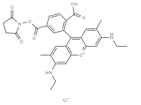 6-罗丹明6G-NHS 活化酯 