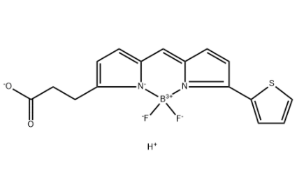 BODIPY 558/568 COOH BODIPY 558/568 COOH