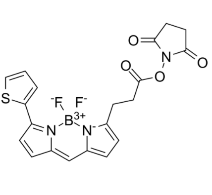 BODIPY 558/568 NHS BODIPY 558/568 NHS
