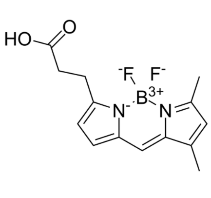 3-Bodipy-propanoic Acid 3-Bodipy-propanoic Acid