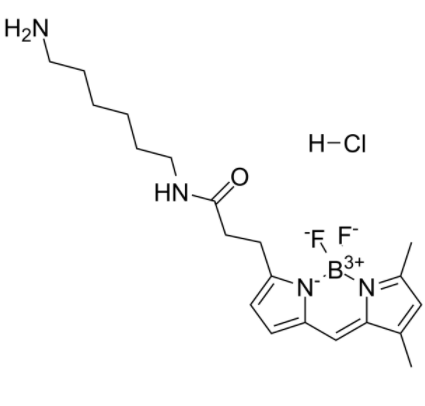 BDP FL amine BDP FL amine