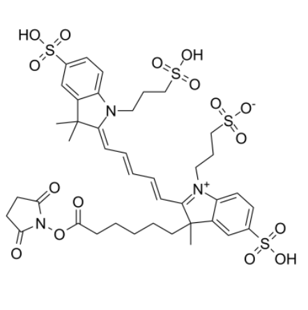 AF647-NHS ester AF647-NHS ester