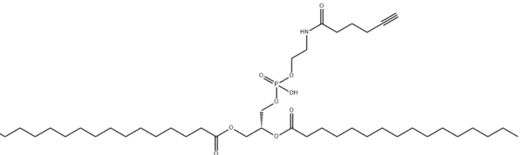 DPPE-Alkyne 
