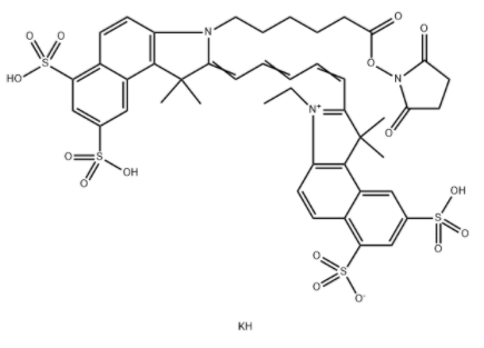 Cy5.5 NHS ester Cy5.5 NHS ester