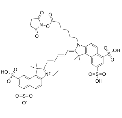 Cy5.5-N-羟基琥珀酰亚胺酯 Cy5.5-N-羟基琥珀酰亚胺酯