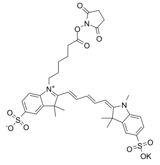 磺基花青5 NHS酯 磺基花青5 NHS酯