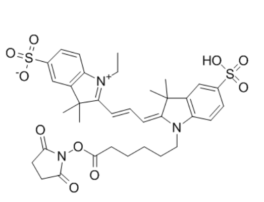 CY3-NHS酯 