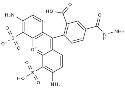 BP Fluor 488 Hydrazide BP Fluor 488 Hydrazide