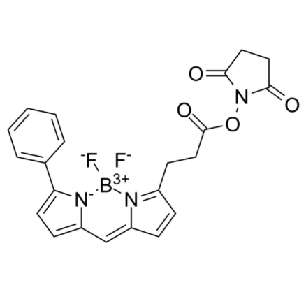 BIODIPY R6G ester BIODIPY R6G ester
