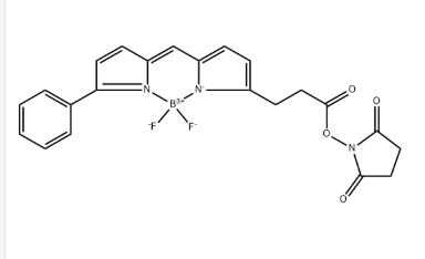 BODIPY R6G NHS ester